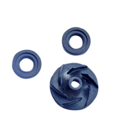 Oil seal water pump Duke